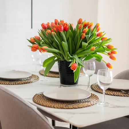 Port Popowice -darmowy Garaz I Rowery - Meldunki 24na7 - Tramwajem 15 Min Do Rynku